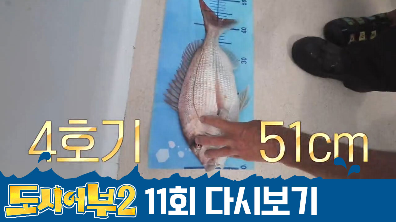 #나만 아니면 돼 #무한이기주의ㄷㄷ 쏟아지는 잡어 주술(?)에도 참돔을 낚을 자는?