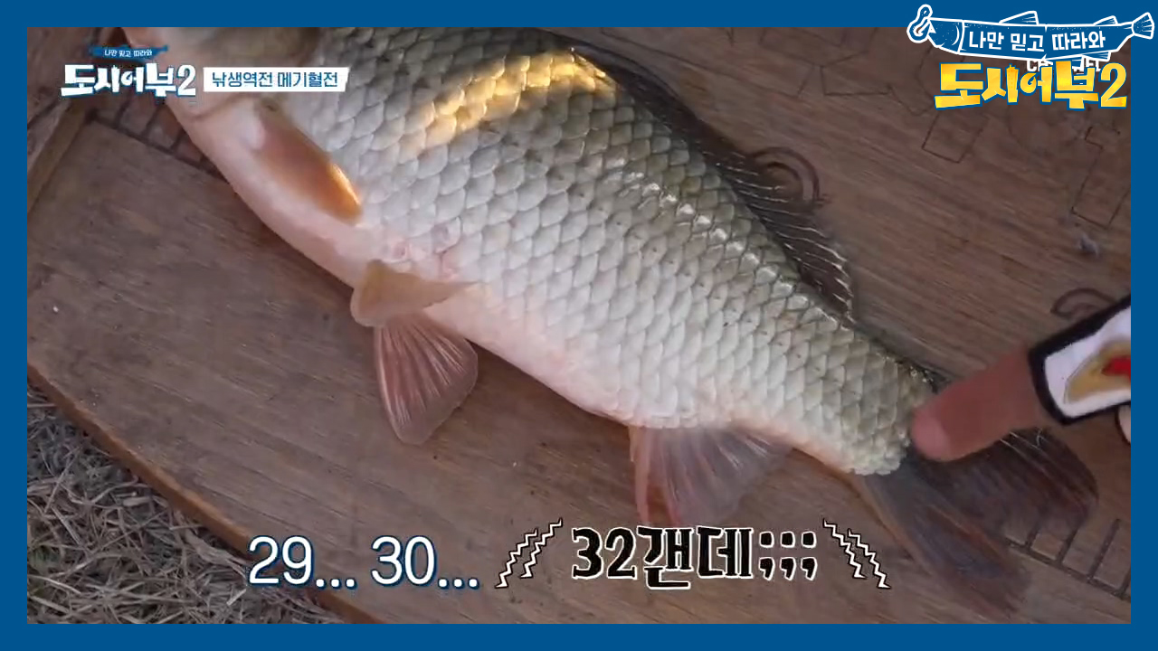 ♨토종 붕어냐, 향붕어냐♨ 덕화옹의 첫 HIT... 그 정체는?