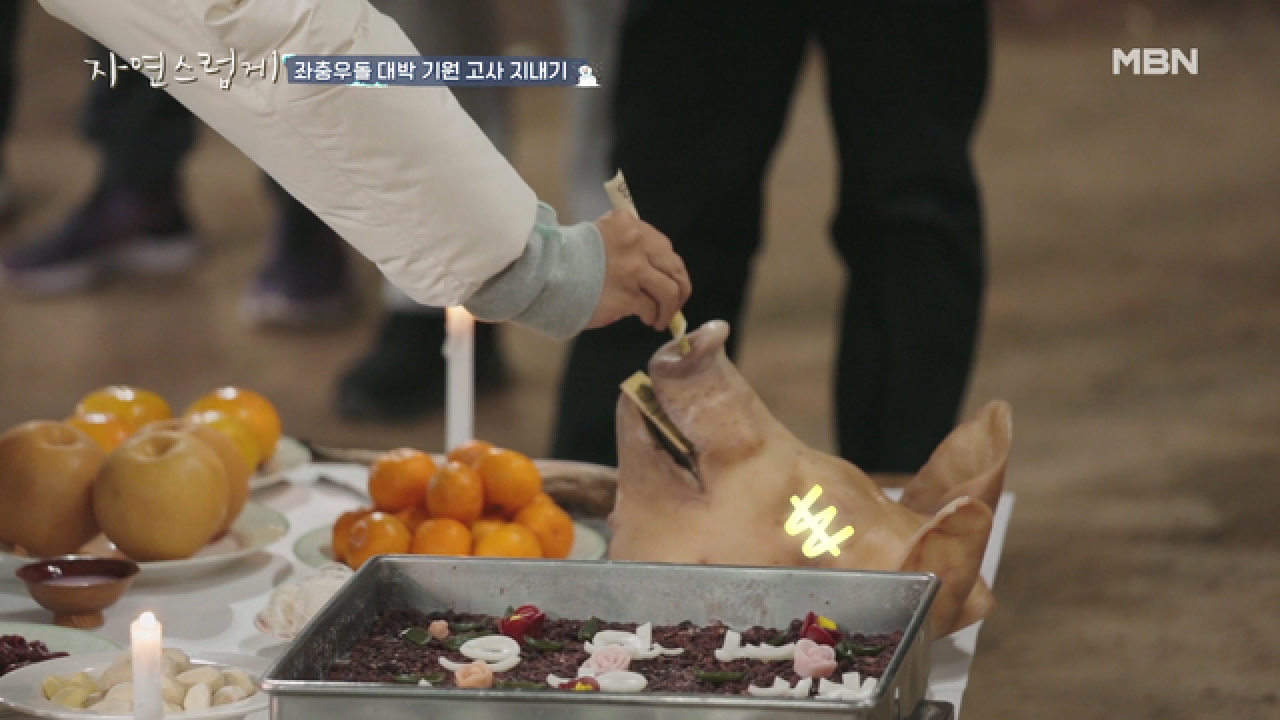 ★코재하우스 대박기원 고사★ 돼지머리에 돈까지 꽂고 ‘환영합니다♡’