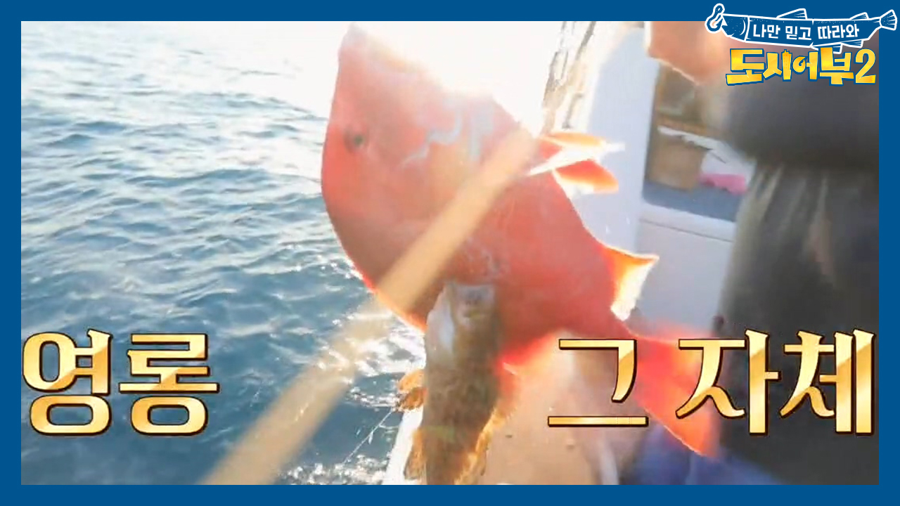 (대박) 그토록 기다렸던 레드 엠퍼러의 등판ㅠㅠ 용족이 해내버렸다⊙ㅁ⊙!