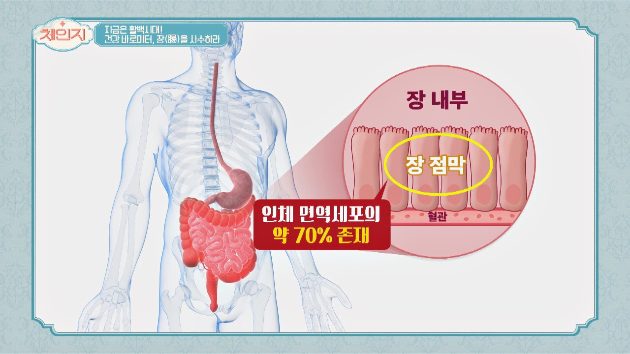 독소로부터 면역 파수꾼 &#39;장 점막&#39;을 지켜라!