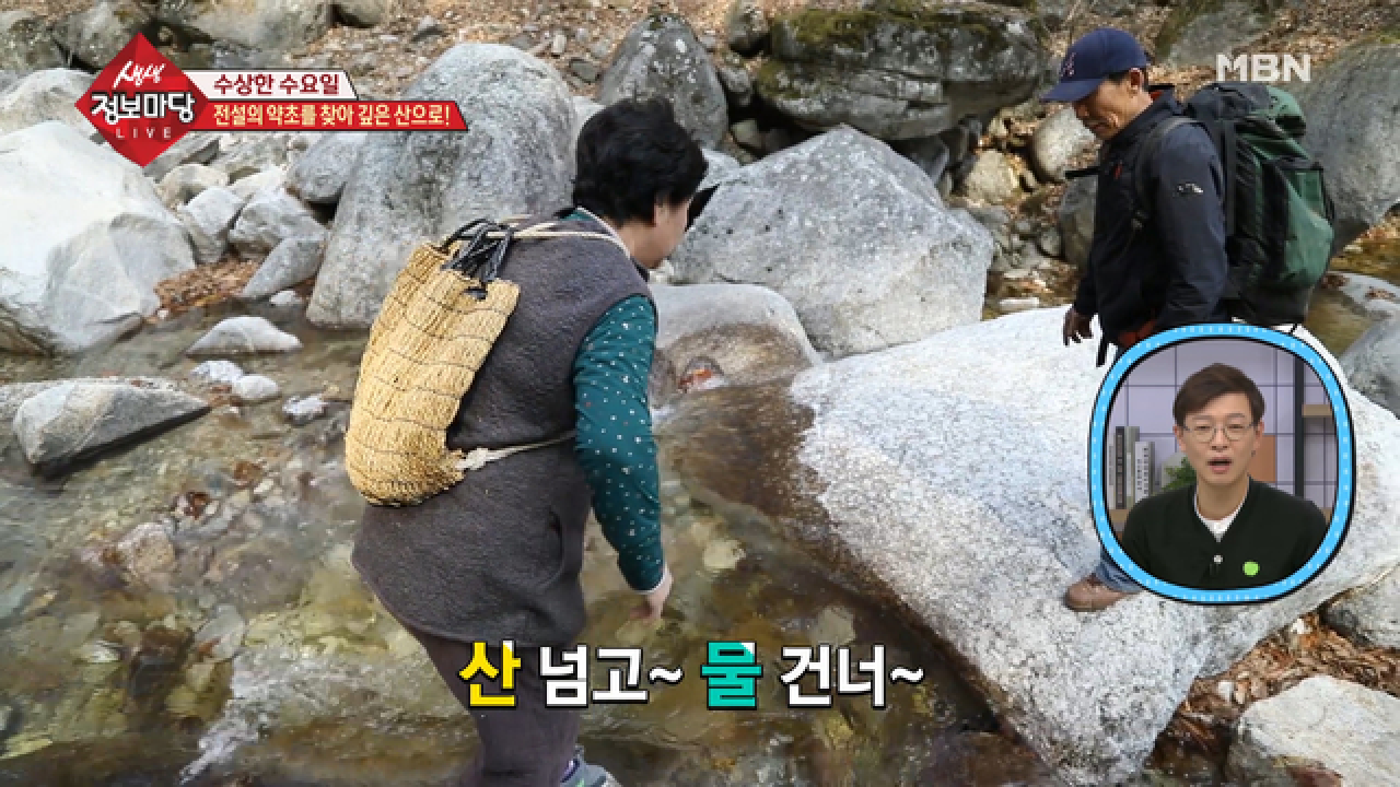 전설의 약초를 찾아 깊은 산속으로! - kakaoTV 전설의 약초를 찾아 깊은 산속으로!