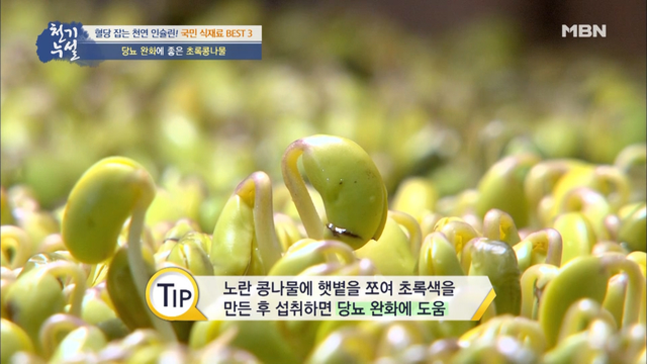 당뇨 완화에 좋은 최고의 콩나물, 초록콩나물! - kakaoTV 당뇨 완화에 좋은 최고의 콩나물, 초록콩나물!