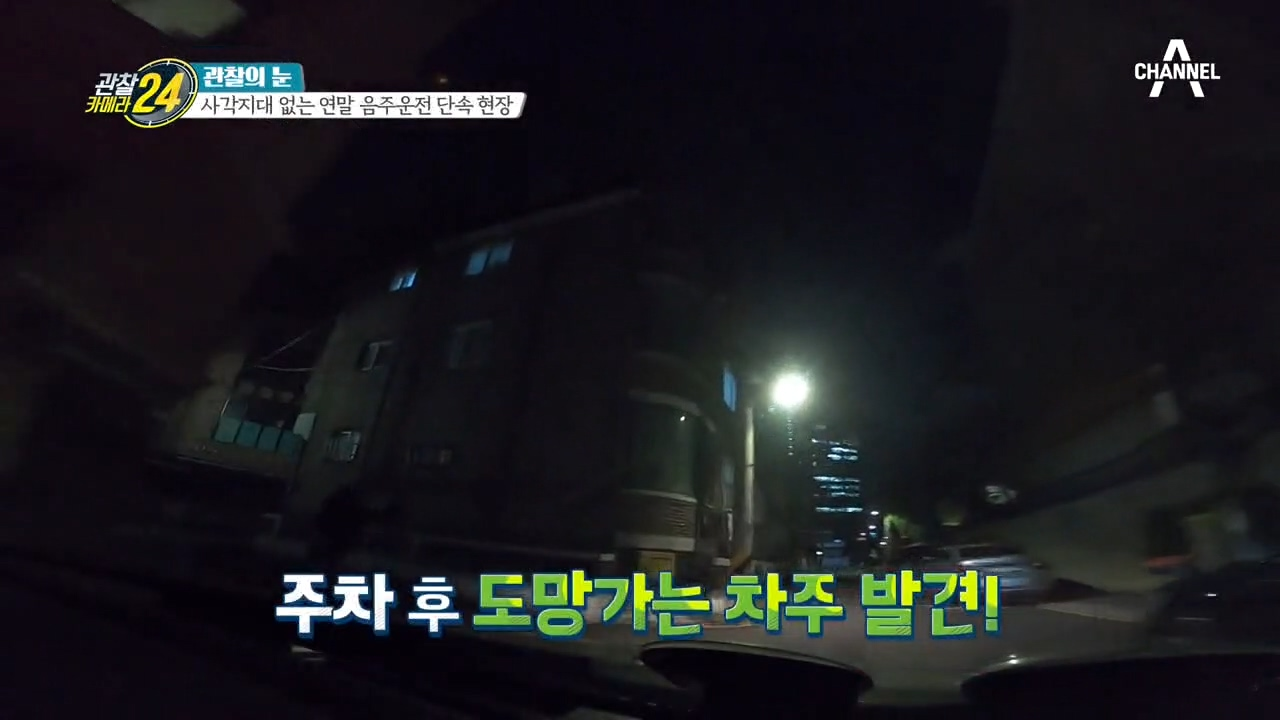 ∑음주단속을 발견하고 도망가는 차량, 딱 걸린 음주운전 현행범!