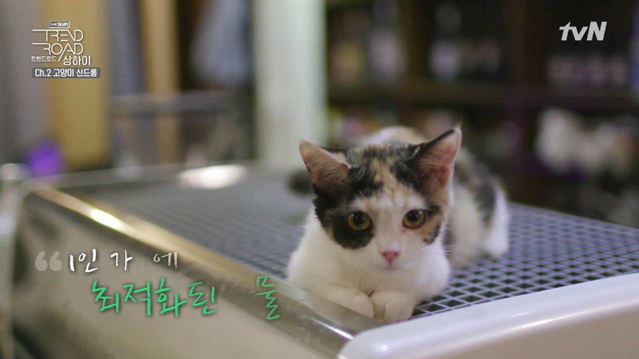 thumb.png?ts=1578669487