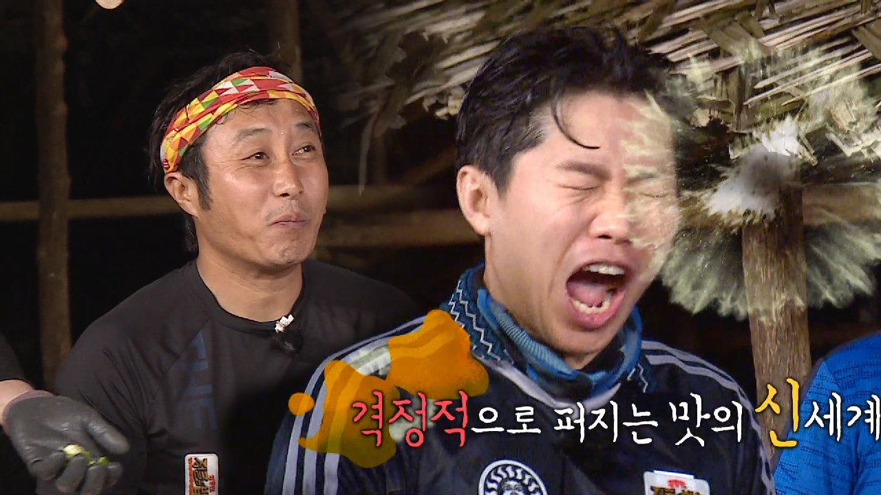 정법에서 흔히 볼 수 없는 ‘모둠 비타민’ 대잔치★ (ft. 신세계 신 ...