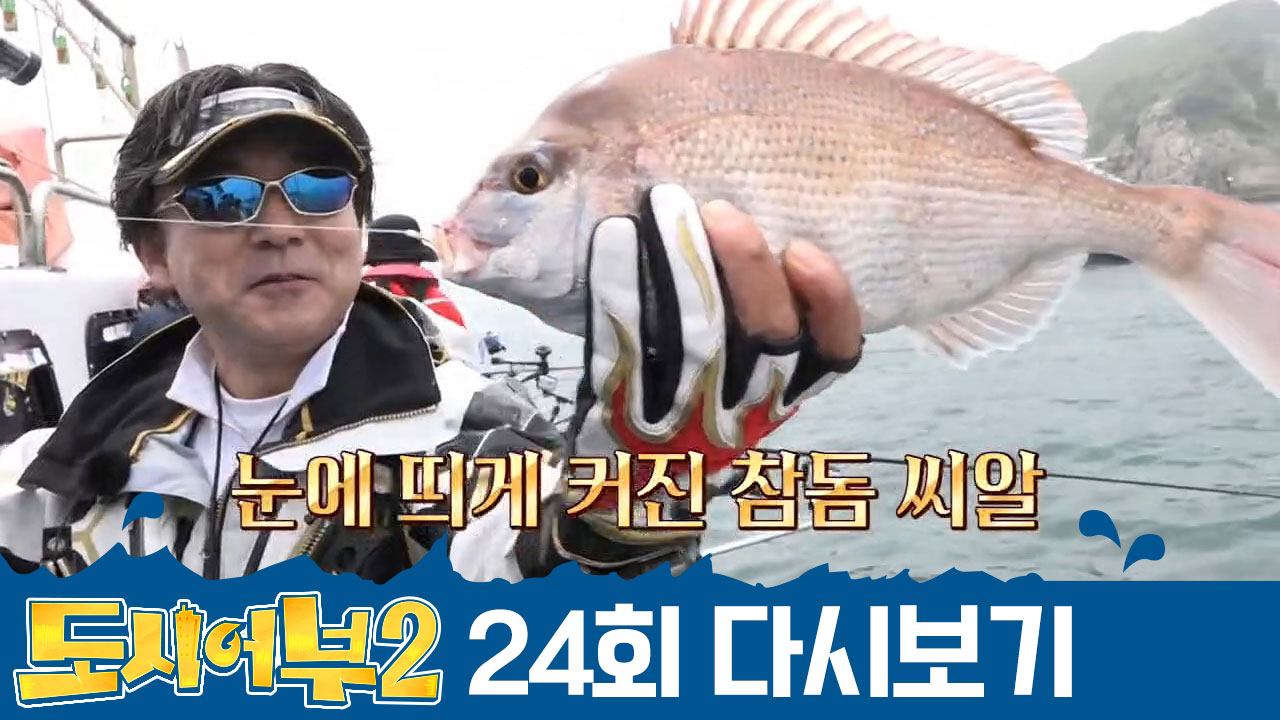 [오늘의 최대어] 미니 참돔 속 대물 등장! 이게 바로 명인의 DANCE...