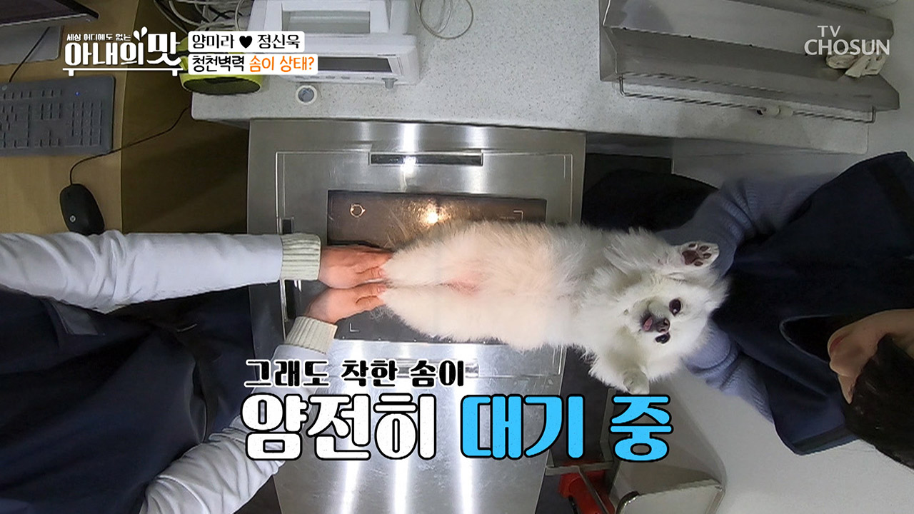 청천벽력! 솜이의 상태가 심각하다?