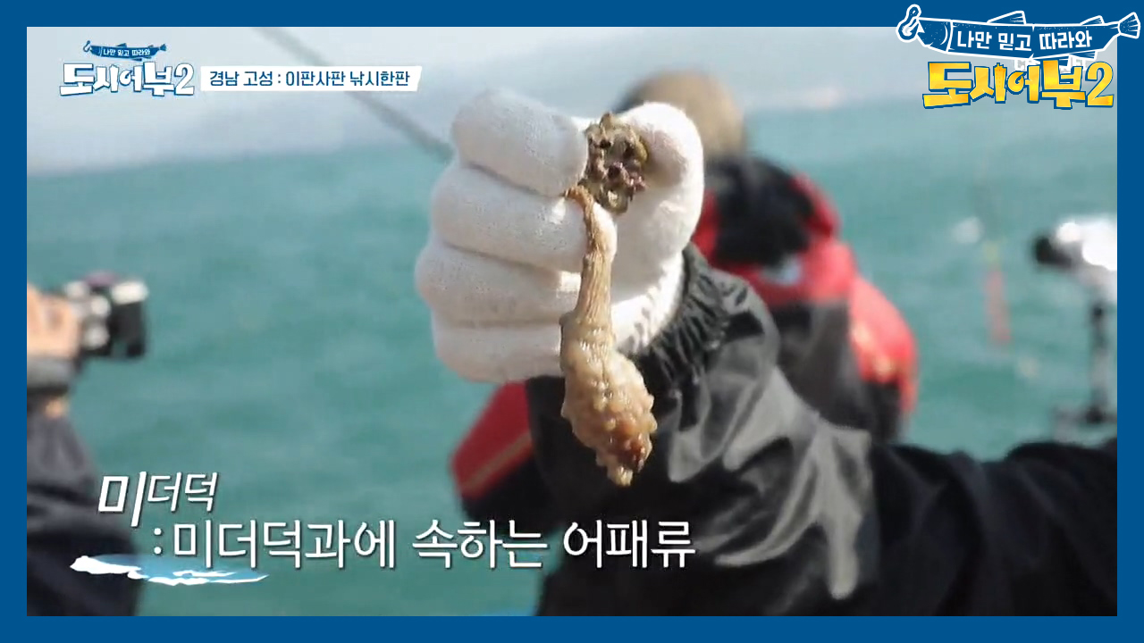 세상에 미더덕을 잡다니ㅋㅋ 기대를 저버리지 않은(?) 깜찍한 녀석♥