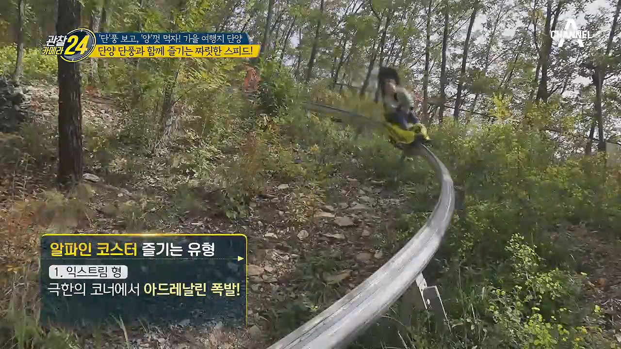 즐기는 방법은 달라도 짜릿함은 같다?! 알파인 코스터 즐기는 유형!