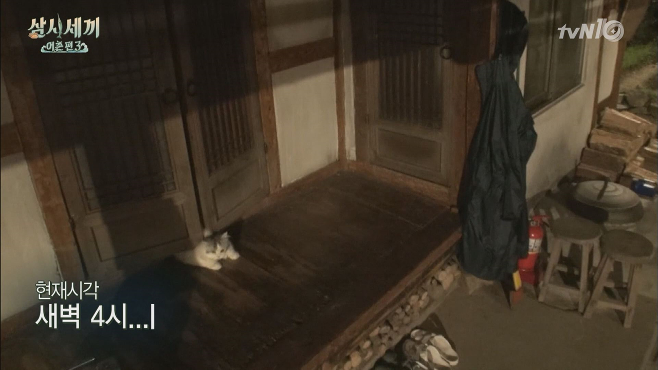 우리끼리 쉿! 쿵이의 심야 비밀 산책