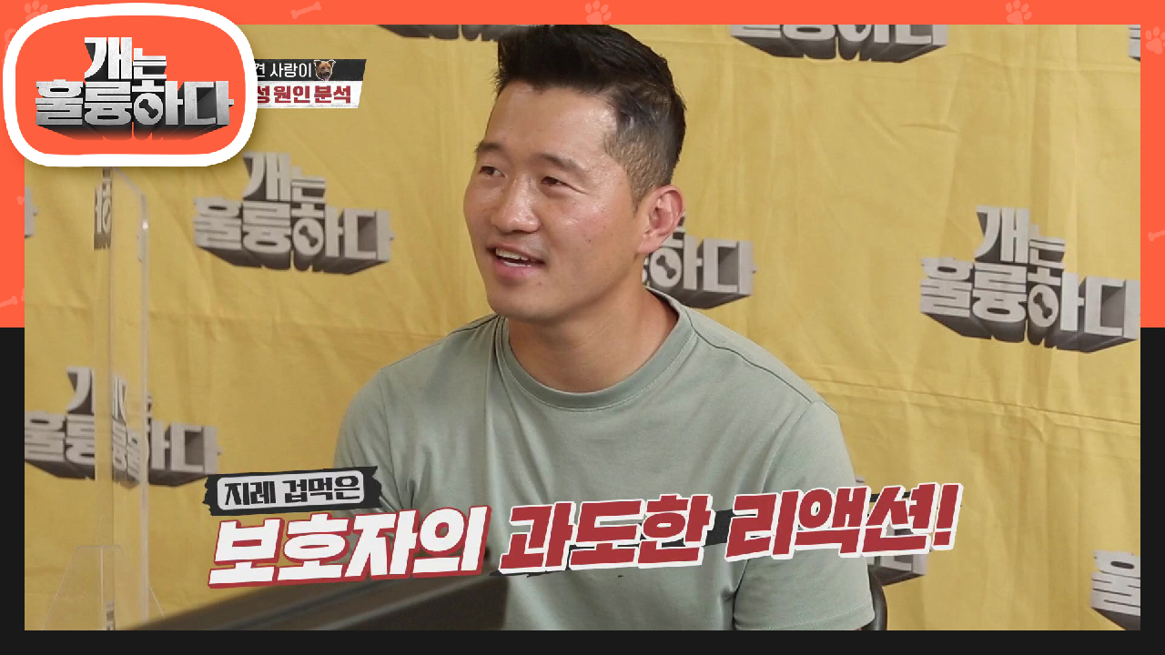 맹견 사랑이가 사람에게 왜 공격적인지 원인 분석! | KBS 210809 방송