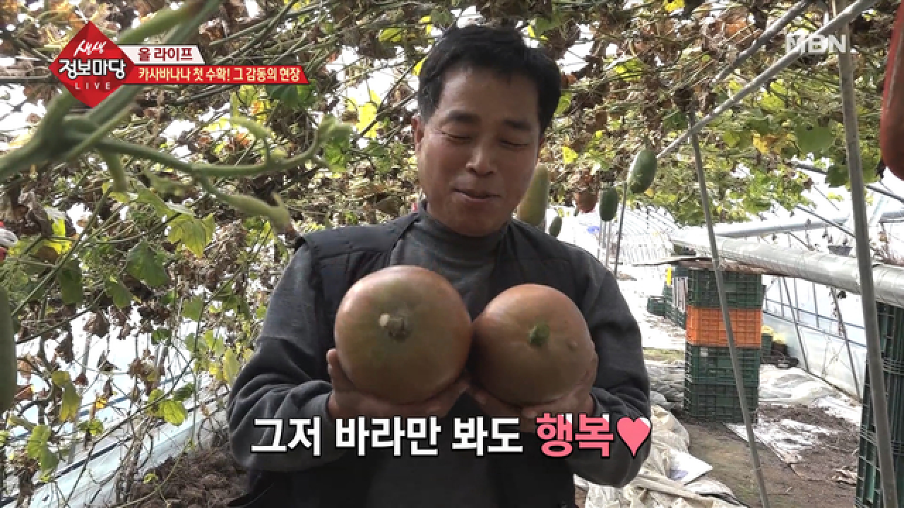 겉은 애호박! 속은 바나나? 카사바나나! - kakaoTV 겉은 애호박! 속은 바나나? 카사바나나!
