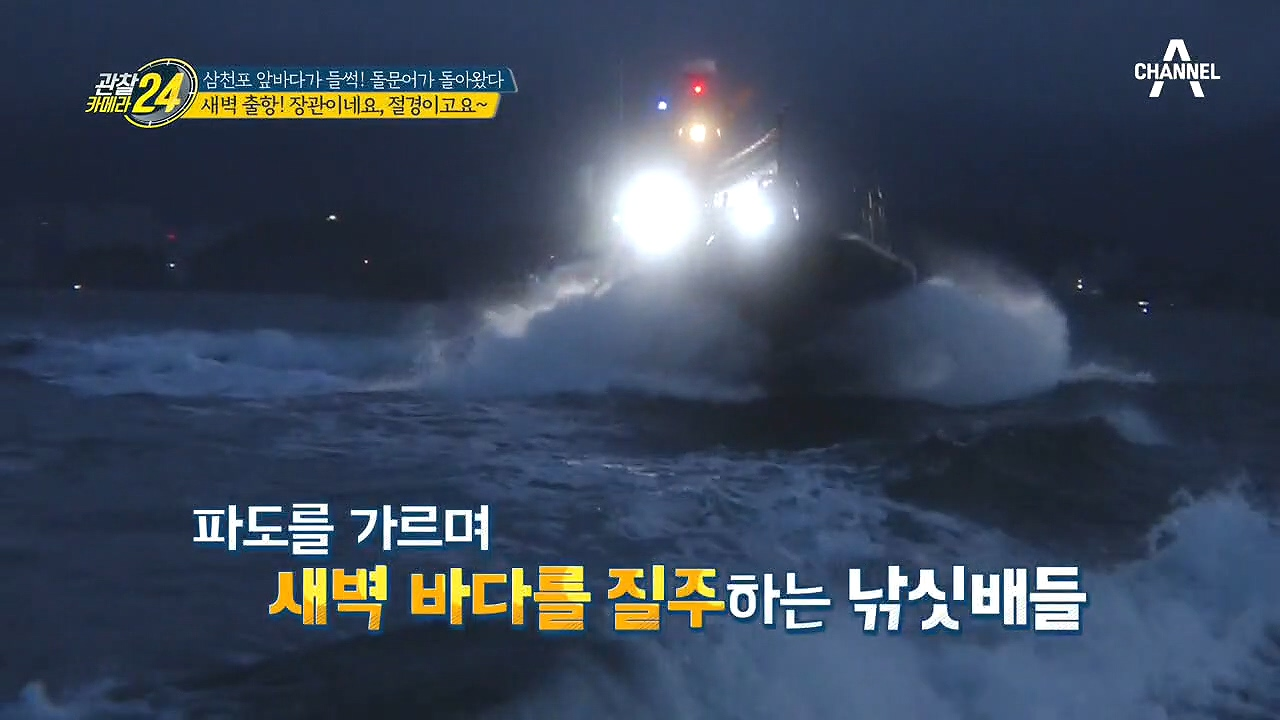 돌문어는 '가짜 미끼'를 확 물어분 것이여~ 밤낚시에 설레는 항구