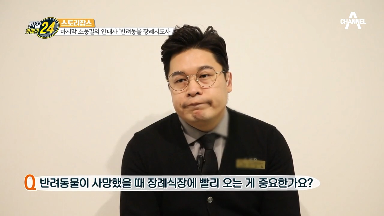 ※반려인 주목※ 반려동물 장례사에게 물었다! 반려인들이 알아두면 좋은 정보
