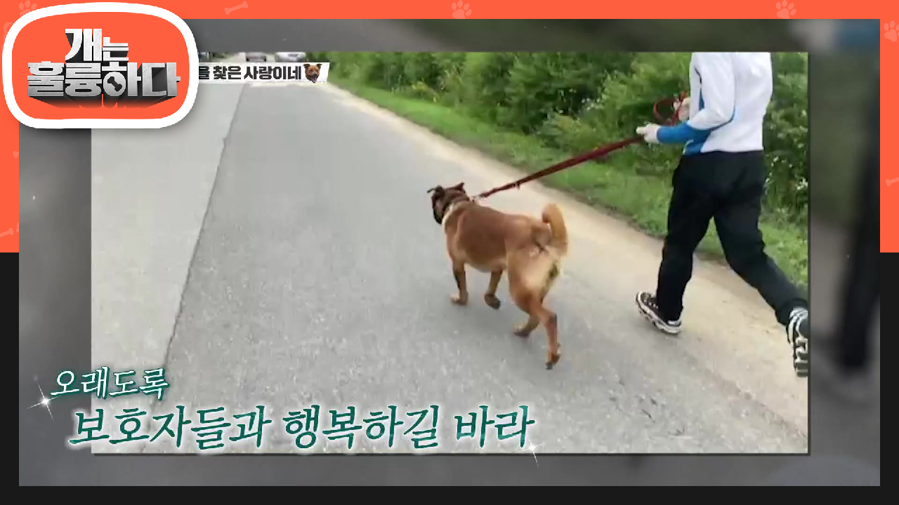 마지막 관문! 어머님의 보호자 설득하기 과연 성공?! | KBS 210809 방송