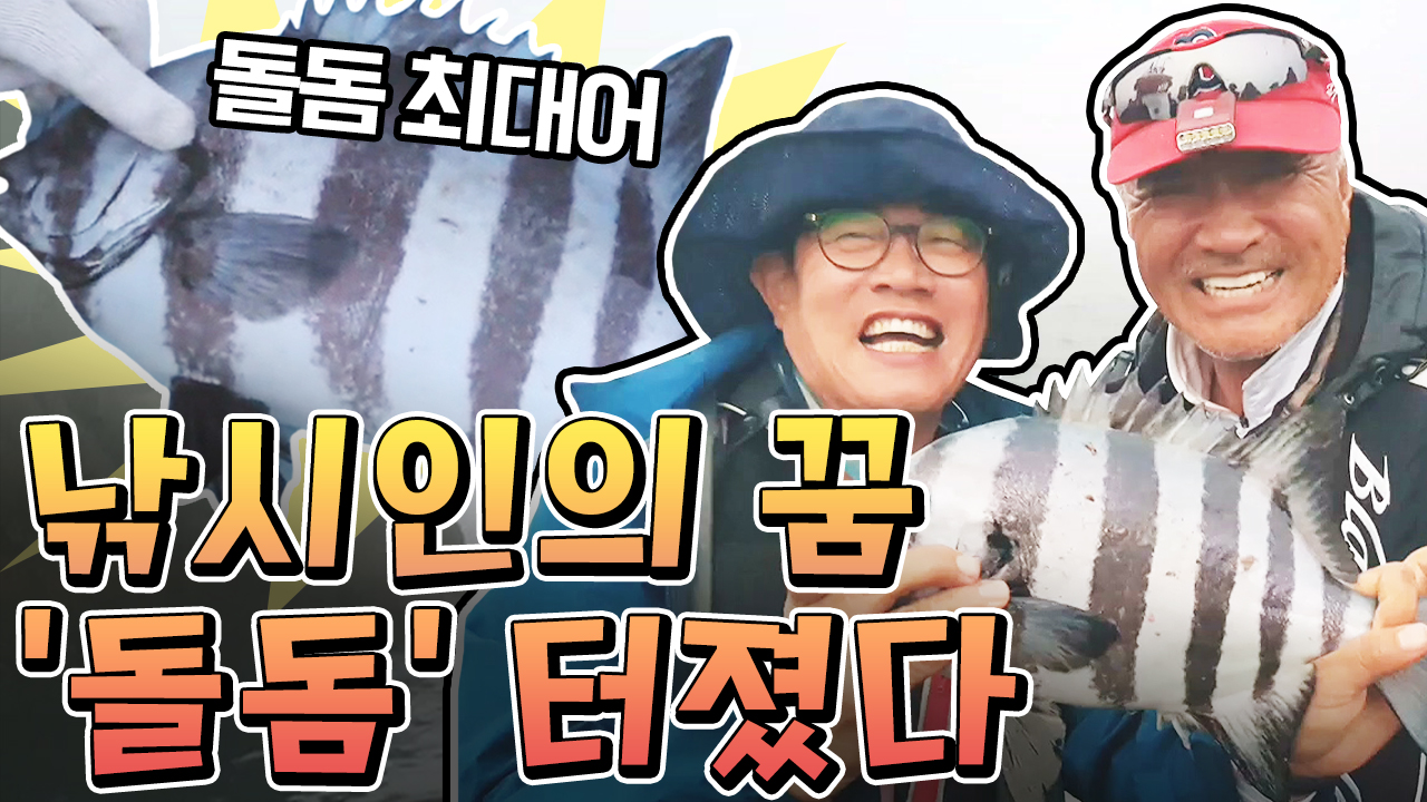 ★귀하디 귀한 '돌돔' 나가신다★ 역대 '최대 돌돔...