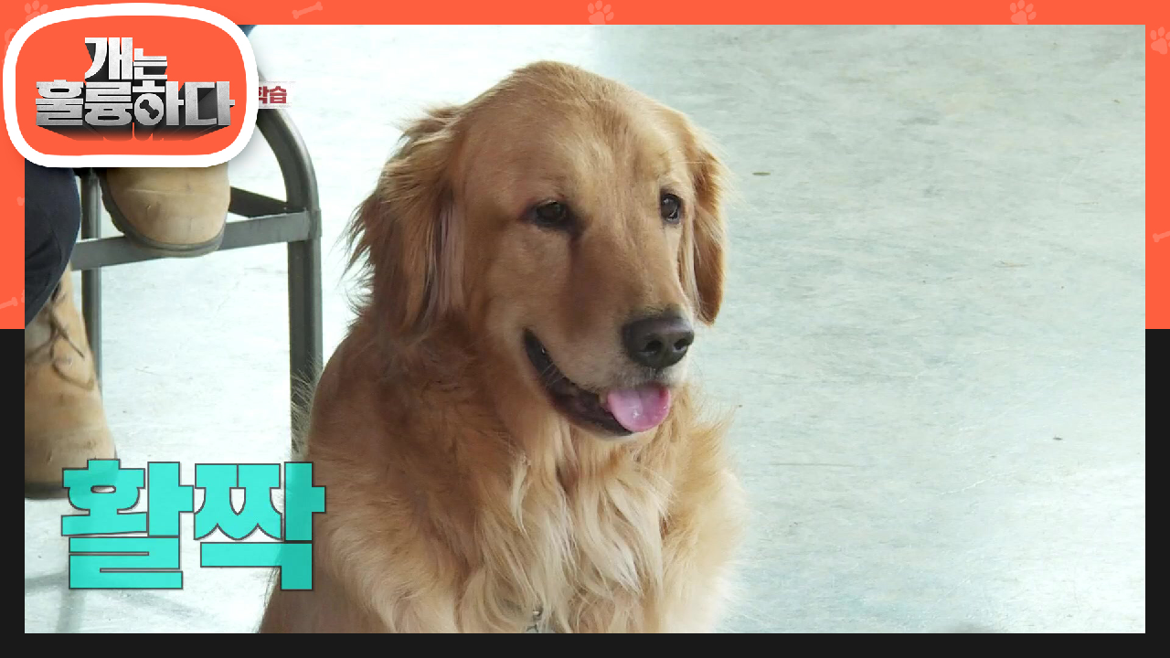 마지막까지 완벽★ 믿음이의 음식 집착 없애기 까지 완료! | KBS 210517 방송