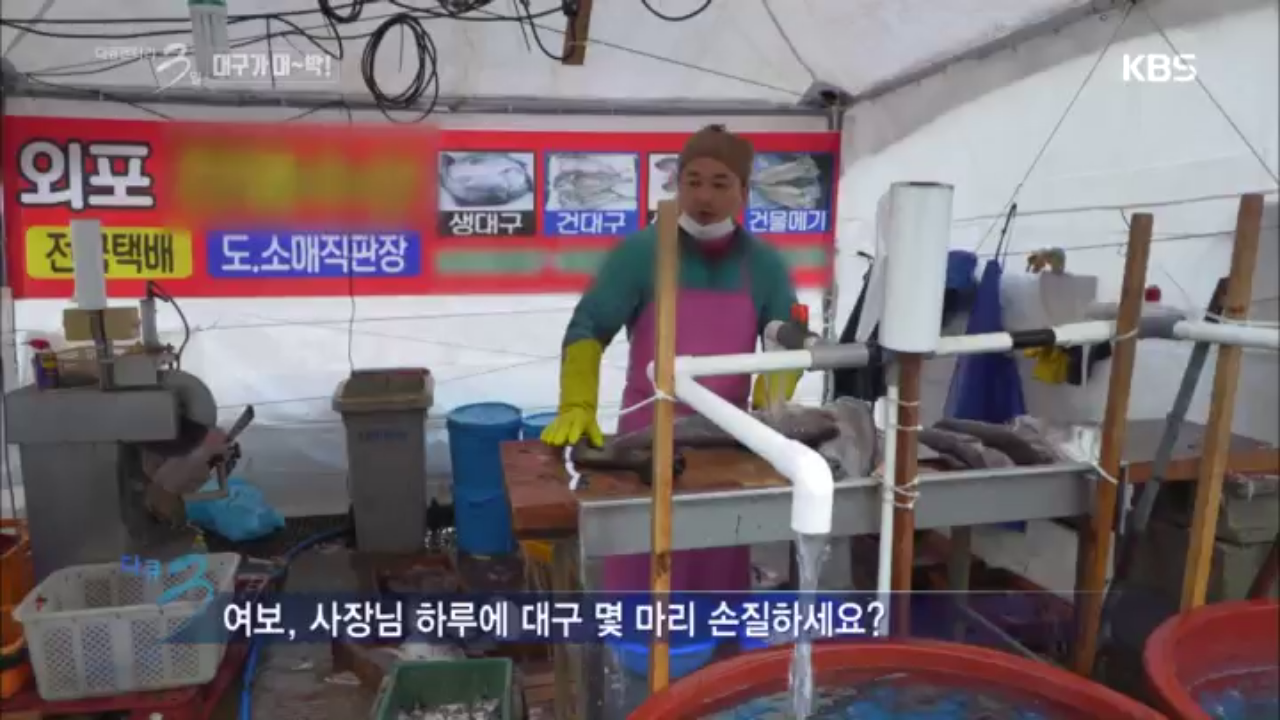 거제 외포항 72시간