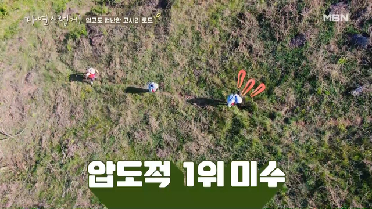 멀고도 험난한 고사리 ROAD