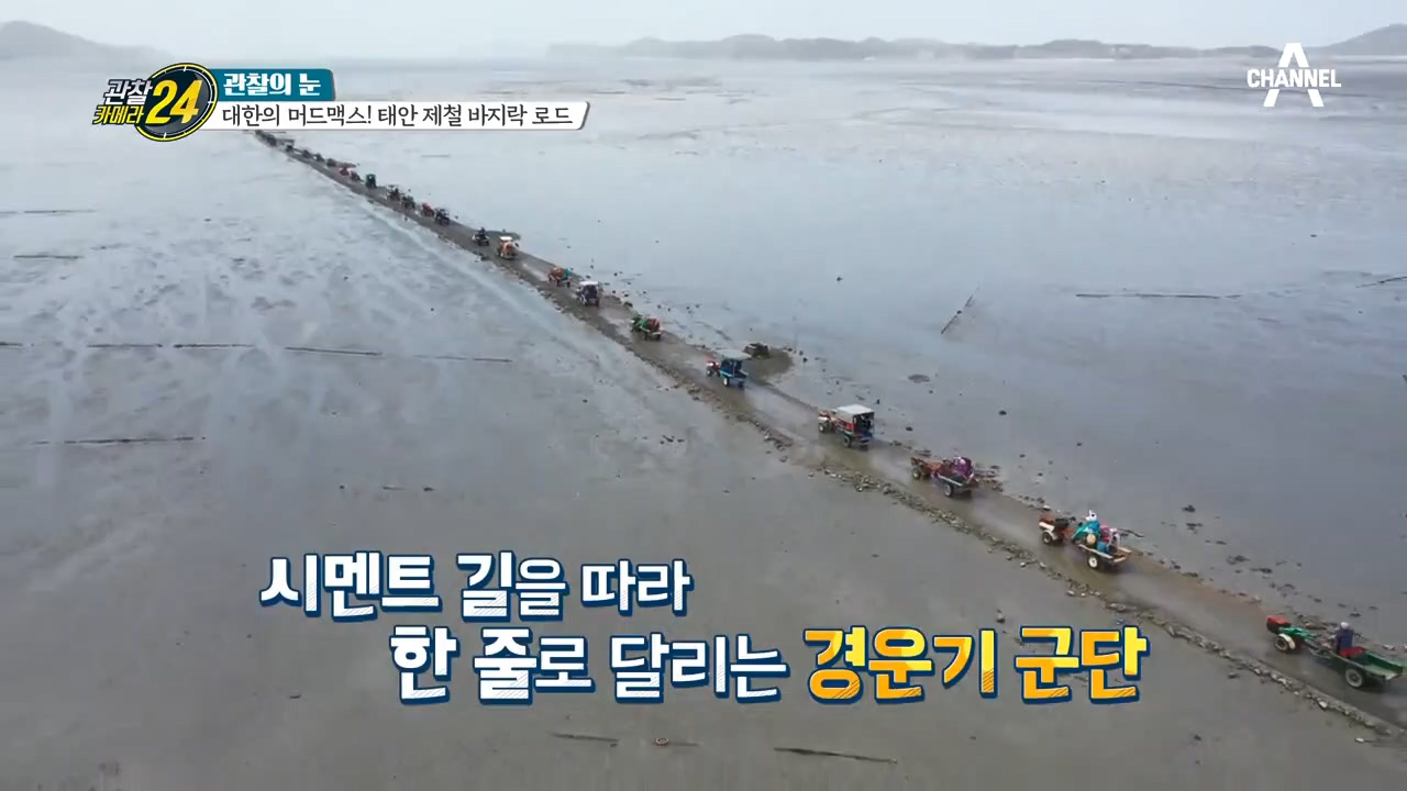 갯벌을 달리는 대한의 머드맥스! 제철 맞은 바지락 전쟁