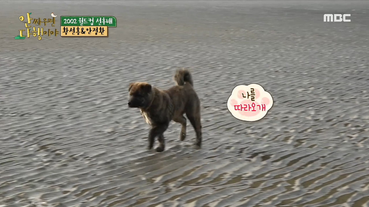 ＂산속에 갯벌이?!＂ 앞마당에 갯벌이 있는 자연인의 집, MBC 210125 방송