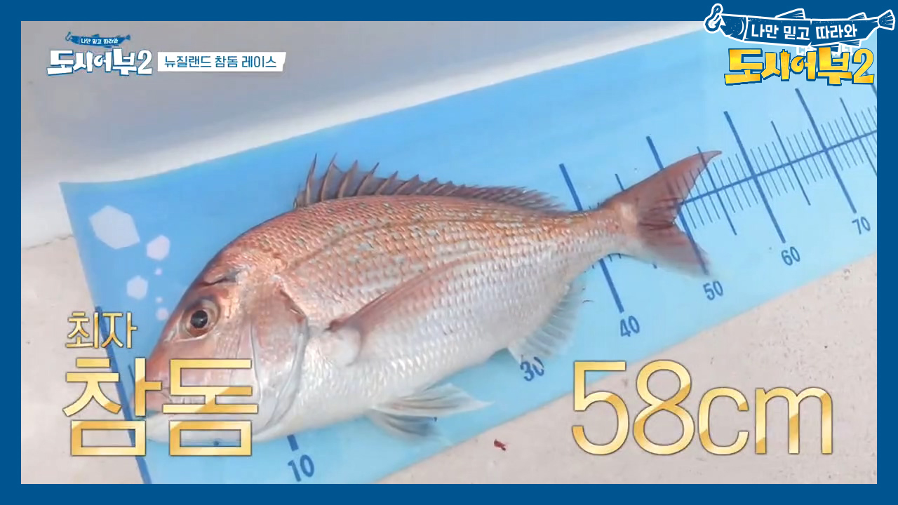 ＂참돔은 내가 다 잡을꼬얌♥＂ 낚시계의 자랑(?) 최자, 58cm 레드스내퍼 HIT~~!!