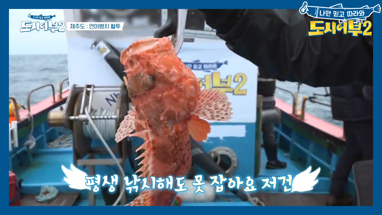 20만 원 짜리 OO을 잡아버렸다?! 경규가 HIT친 ☞최고급 어종☜의 ...