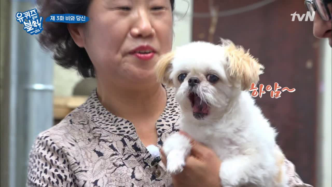 (뭉클) ′토토′의 출연 이유 - kakaoTV (뭉클) ′토토′의 출연 이유