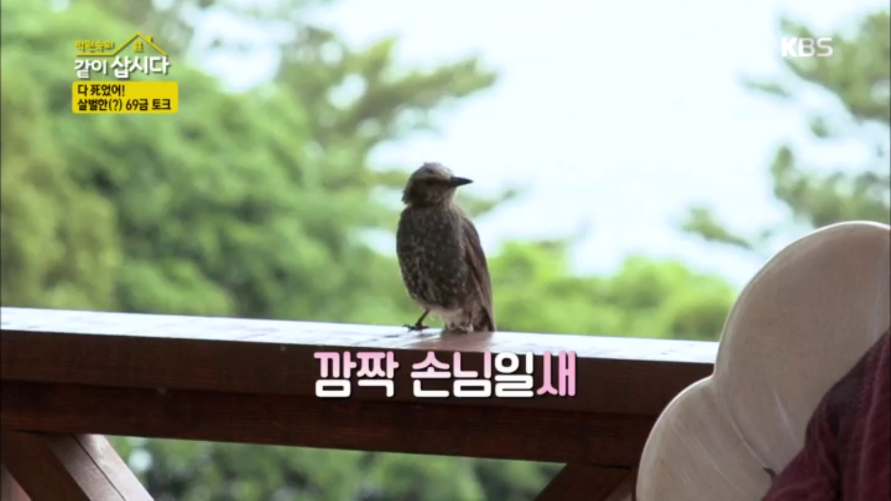 걸어서 거제 속으로! 비가 와도 서로 함께하면 좋은 여행~♡