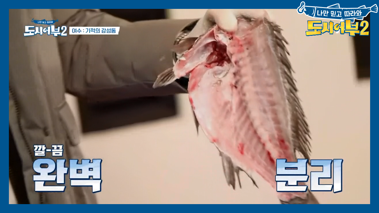 ＊낚시꾼 룰: 첫 고기는 잡은 사람이 회 치기＊ 모범생 준현 초집중 모드