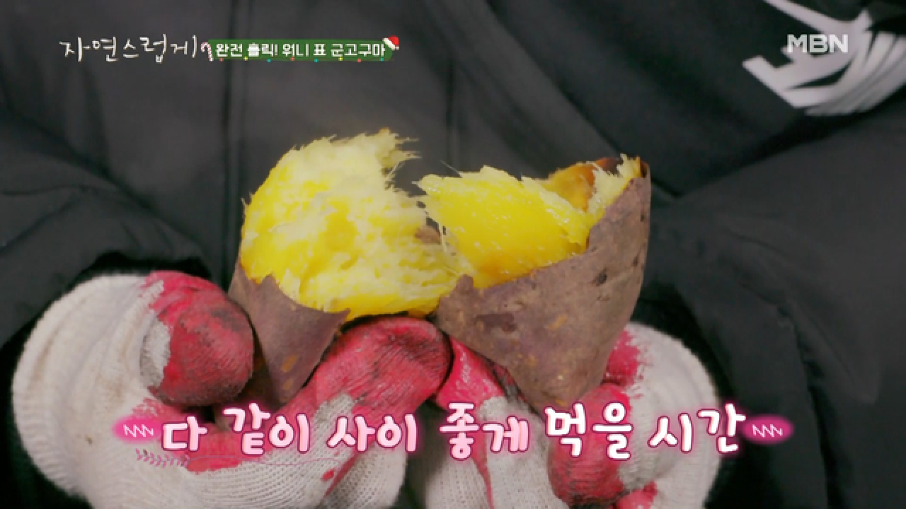 먹을 줄 아는 사람들의 군고구마 먹방
