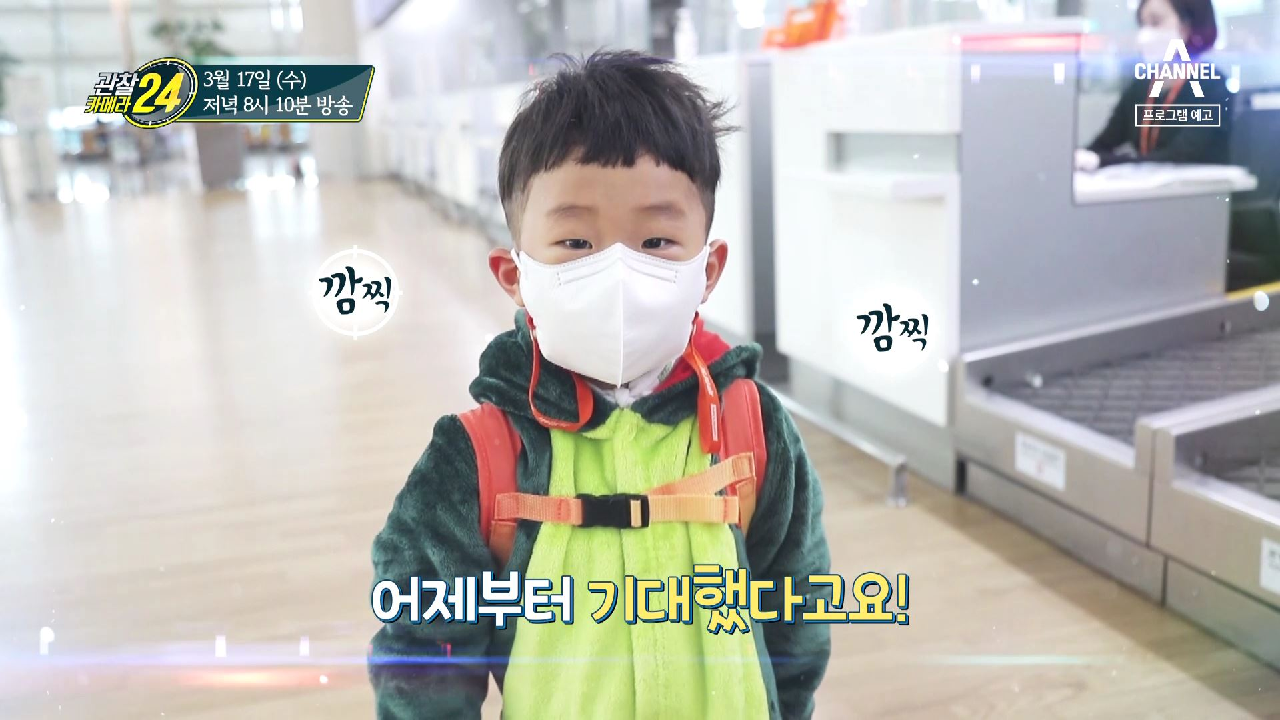 관찰 카메라 24 181회