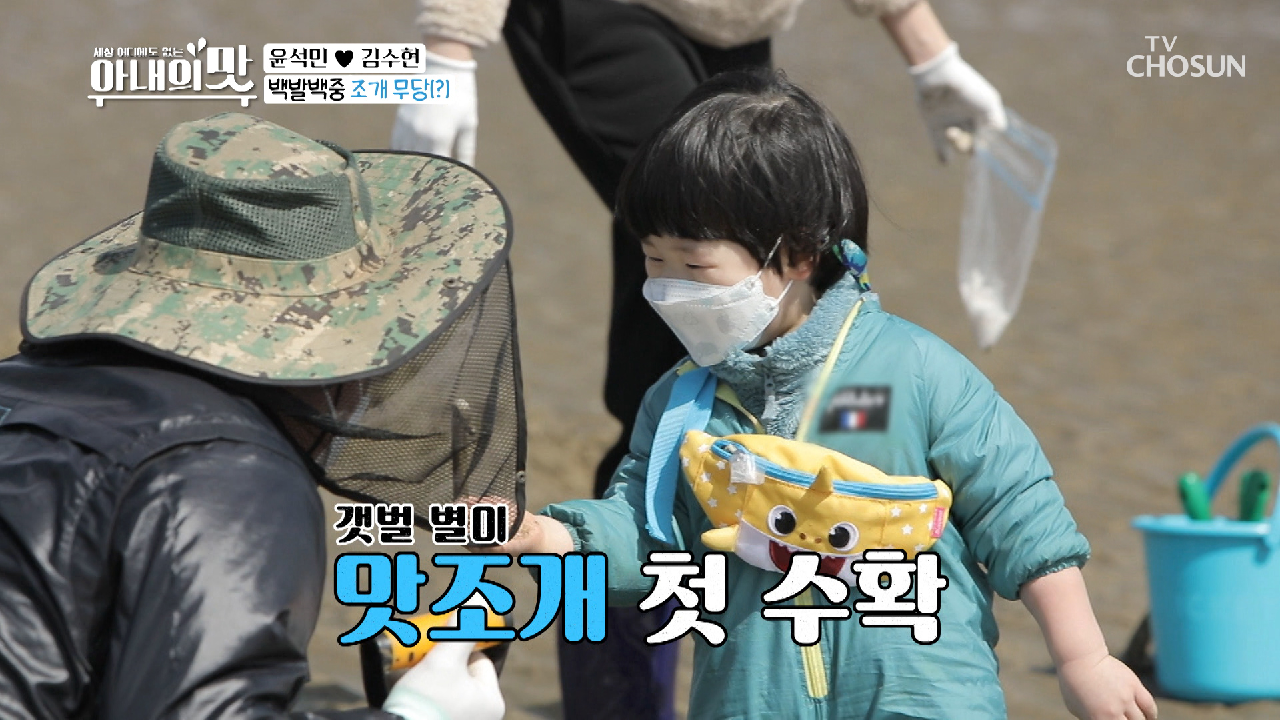 ʚ갯벌의 별미ɞ 맛조개 잡으러 3대가 출동↗ TV CHOSUN 210406 방송