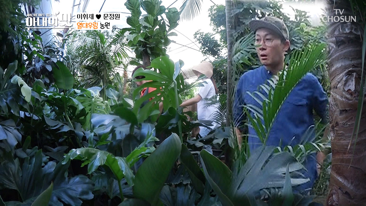 실내 온도 44도?! 고생하는 아내의 모습에 말문 상실...ㅠㅠ