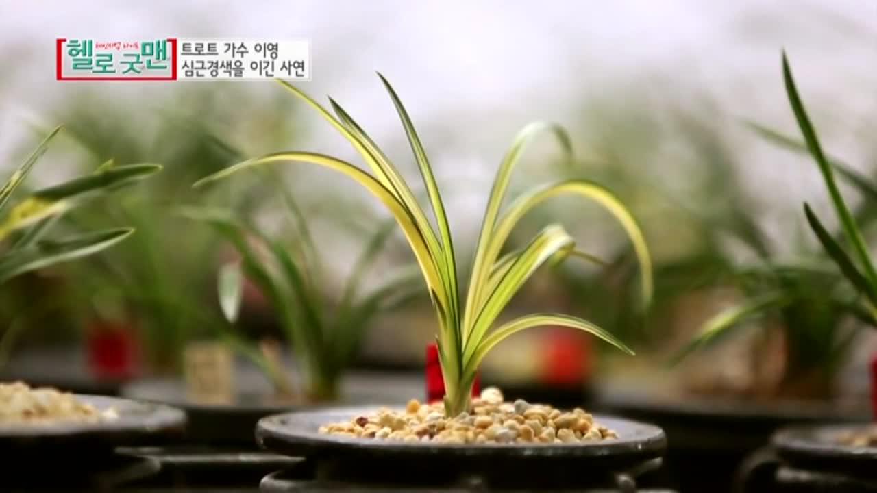 심근경색으로 죽다가 살아난 가수 OO?!