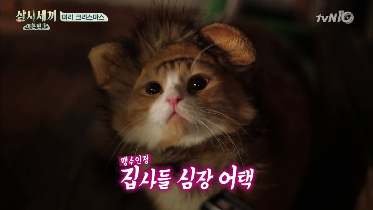 산타쿵&amp;사자몽 심쿵 아이컨택 영상