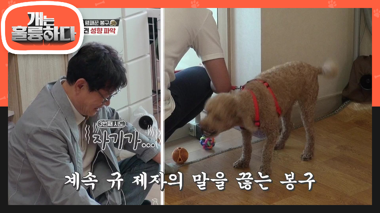 규제자의 말을 계속해서 끊는 봉구!! 높은 곳에 있을 때의 반응은? | KBS 210426 방송