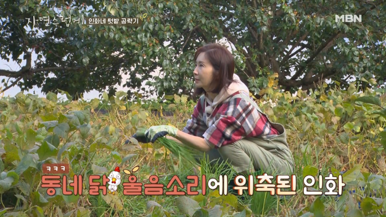 꽃배우 전인화, 동네 닭과 한판 승부 벌이다!