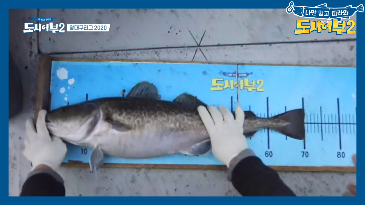 7짜 나왔다, 왕대구마마 납신다 길을 트거라★