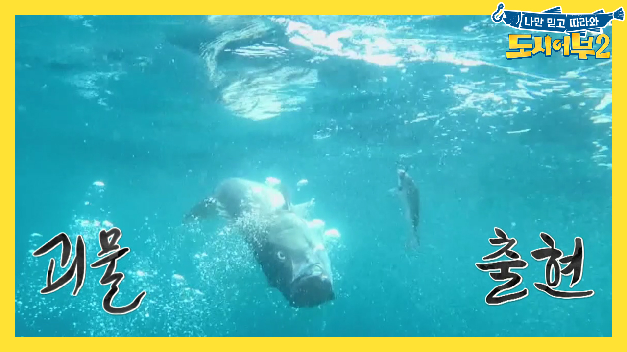 [선공개] 비주얼 ㅎㄷㄷ..! 근데 누구 고기?