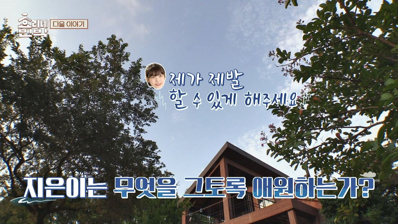 효리네 민박 12회