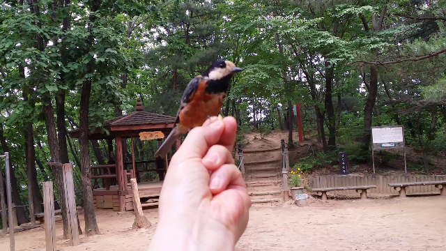  그래 나누어 먹자