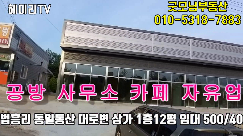  파주 탄현면 법흥리 상가 임대 500/40만 통일동산 대로변 1층 12평