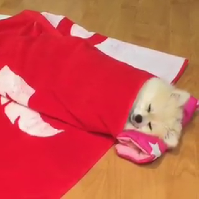 나 잘거다 시바 | 인스티즈