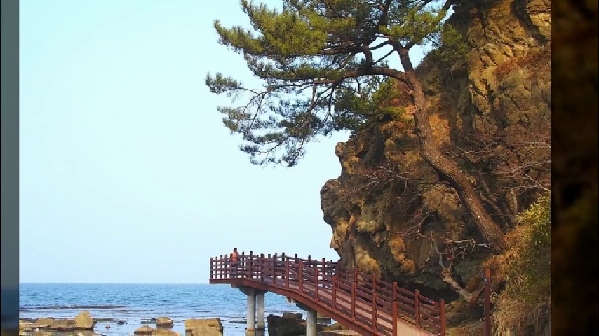  2019-06-01일 [1박2일] 포항 불꽃축제+호미반도 제2코스 트레킹 안내 합니다.