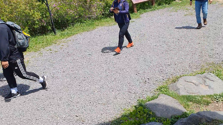 진성발전기 이미지