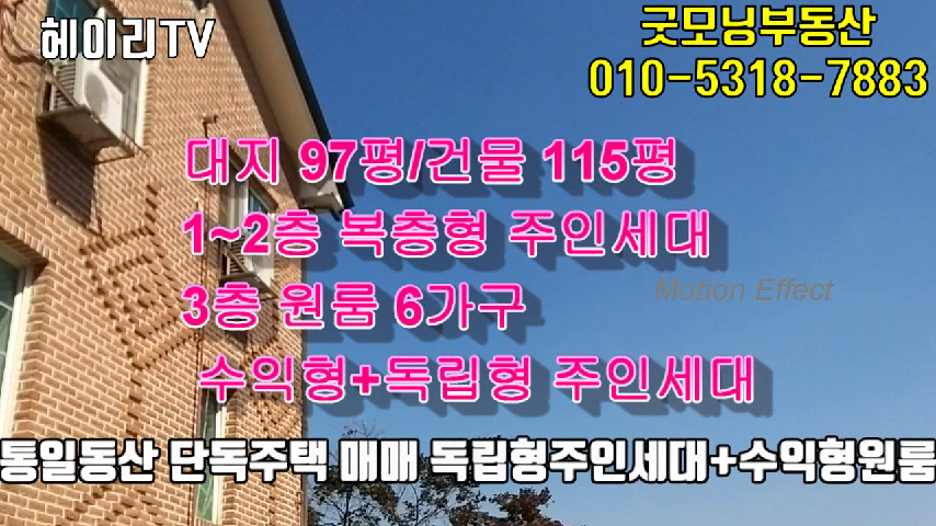  파주 탄현면 법흥리 전원주택 매매 통일동산 수익형 단독주택