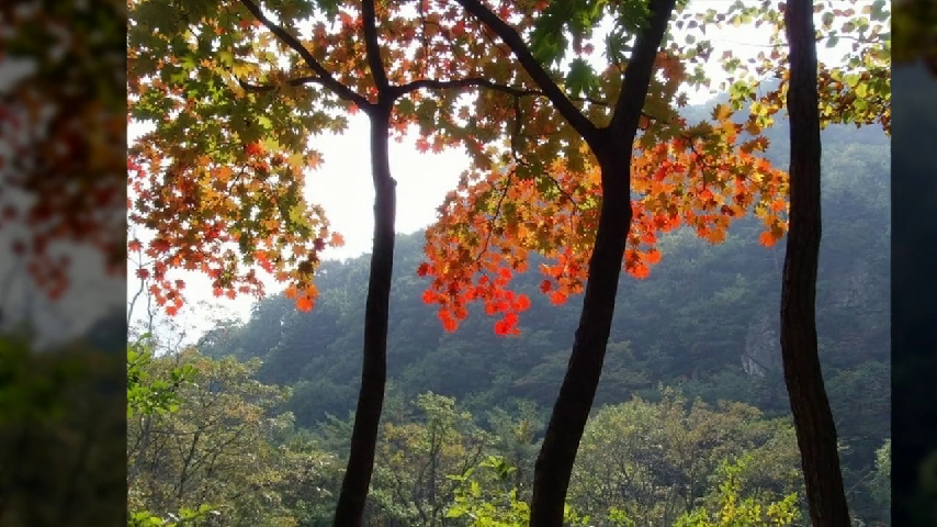  삶의 활력이 되어 드리는 우리들의 대구산장산악회 설악산 정기등산 모객중~