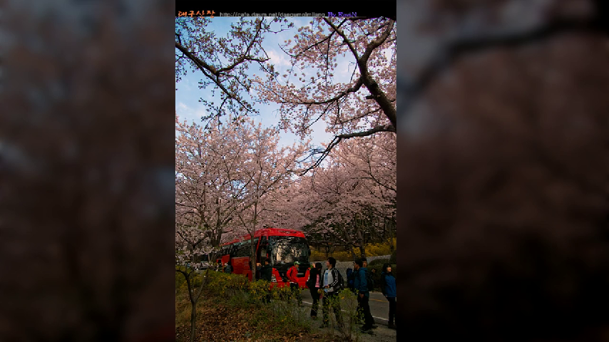  대구산악회중 가장 건전한 대구산장산악회3040 입니다.